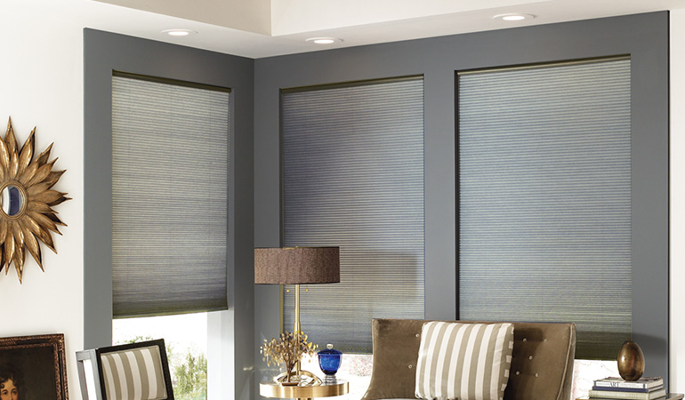 Dark gray cellular shades in a corner of a living room.