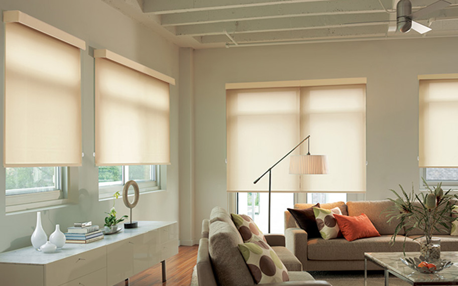 Roller shades in living room.